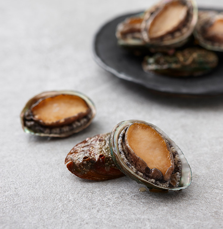 Abalone