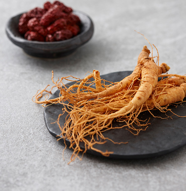 ginseng ginseng